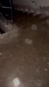 青岛情侣下周去沈阳，找同房不换一起玩