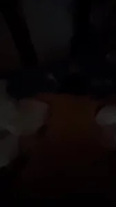 大白屁股的前女友