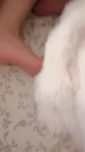 骚脚足交